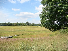 076 Longwood Gardens [2008 August 23]